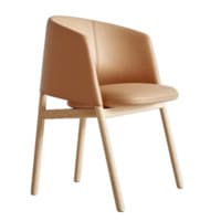 Collar Wood Dining Chair