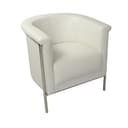 Modern Living Lounge Chair